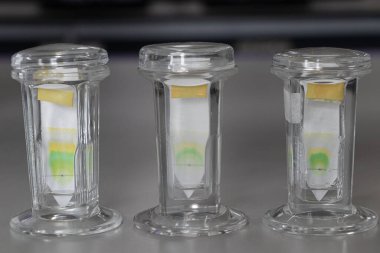 Kromatografi çalışmaları bir bitkinin bileşenlerini ayırmak için kullanılır.