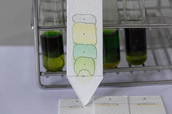 Estudo Cromatografia Usa Para Separar Componentes Uma Fábrica — Fotografia de Stock