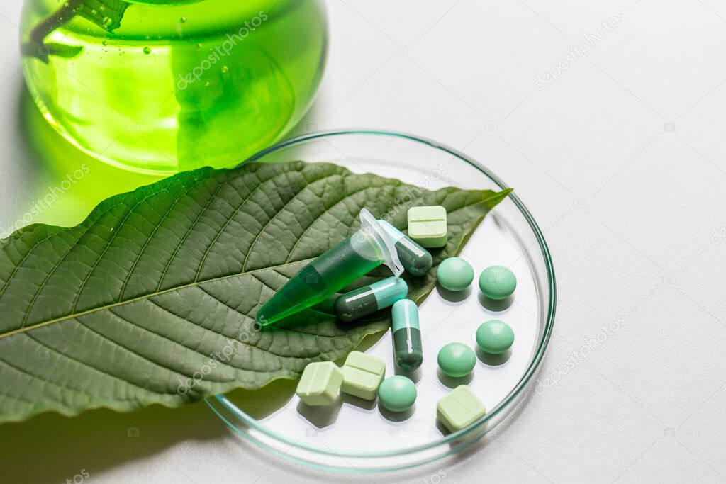 Science Research leaves of Mitragyna speciosa (kratom) and Chemical analysis in Lab.