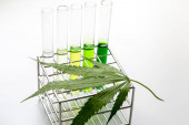 Listy marihuany, Prášek z konopí (Drogy) na bílém pozadí, Pro analýzu v laboratoři.