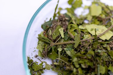 Esrarın güzel yaprakları ve esrarın ayrıntılı geçmişi.