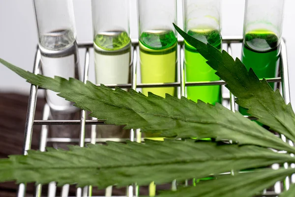 Folhas Maconha Cannabis Drogas Fundo Branco Para Análise Laboratório — Fotografia de Stock