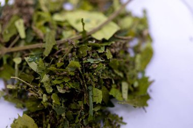 Esrar arkaplanı (Uyuşturucular), Esrar analizi laboratuvarda.