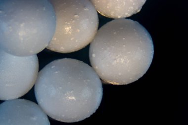  Alginate, deniz kahverengi alglerinin laboratuardaki eğitim amaçlı hücre duvarı bileşenidir..