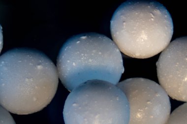  Alginate, deniz kahverengi alglerinin laboratuardaki eğitim amaçlı hücre duvarı bileşenidir..