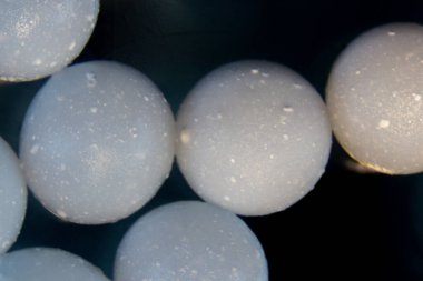  Alginate, deniz kahverengi alglerinin laboratuardaki eğitim amaçlı hücre duvarı bileşenidir..
