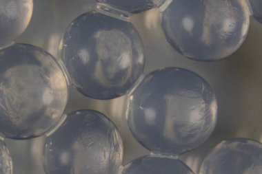  Alginate, deniz kahverengi alglerinin laboratuardaki eğitim amaçlı hücre duvarı bileşenidir..