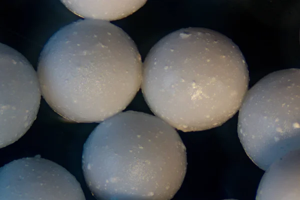 Alginate Deniz Kahverengi Alglerinin Laboratuardaki Eğitim Amaçlı Hücre Duvarı Bileşenidir — Stok fotoğraf