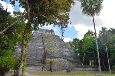 Yaxha, Peten, Guatemala 'daki Büyük Maya Tapınağı