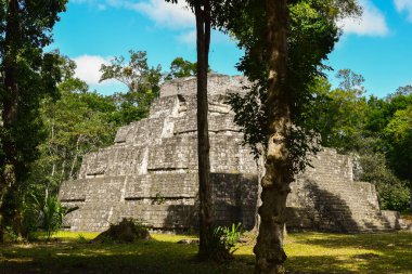 Yaxh, Guatemala ormanında antik Maya piramidi