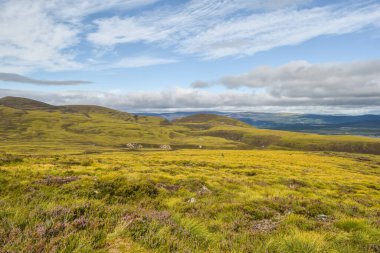Cairngorms 'daki renkli İskoçya Dağları