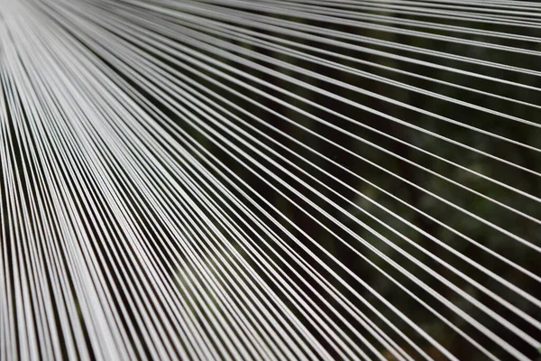 Білі Діагональні Бавовняні Струни Текстильної Промисловості Абстрагувати Білі Лінії Випромінюються — стокове фото