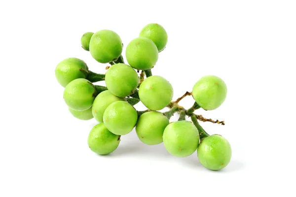Beyaz arka planda izole edilmiş taze yeşil patlıcan. (Hindi üzümü, Solanum torvum) Pea patlıcan. Solanum torvum Sw.