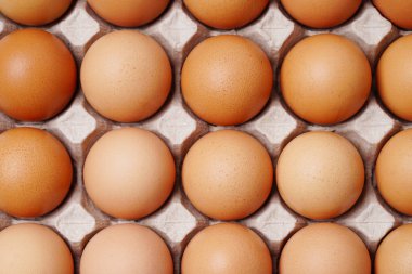 Arka planda yumurta kartonunda kahverengi tavuk yumurtası. kopyalama alanı. Doğal sağlıklı gıda ve organik tarım kavramı. Kutudaki yumurtalar