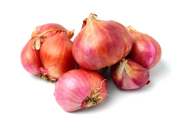 Arpacık soğanı küçük ve büyük ve baharatlı arpacık soğanı pişiren bir grup olarak bir araya getirilir. Bahçe arpacık soğanı arka plan dokusu doğası.