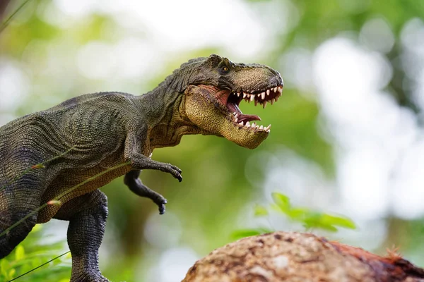 Tyrannosaurus Rex dinozor oyuncağı..