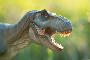 Tyrannosaurus Rex dinozorlar doğanın arka planında oynuyorlar. Yakın çekim dinozor ve canavar modeli .