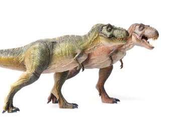 İki Tyrannosaurus Rex dinozoru beyaz arka planda kahverengi ve yeşil renkli oyuncak. Yakın çekim dinozor ve canavar modeli .