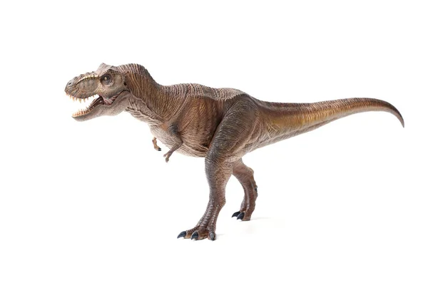 Tyrannosaurus Rex dinozorları beyaz arka planda kahverengi oyuncak. Yakın çekim dinozor ve canavar modeli .