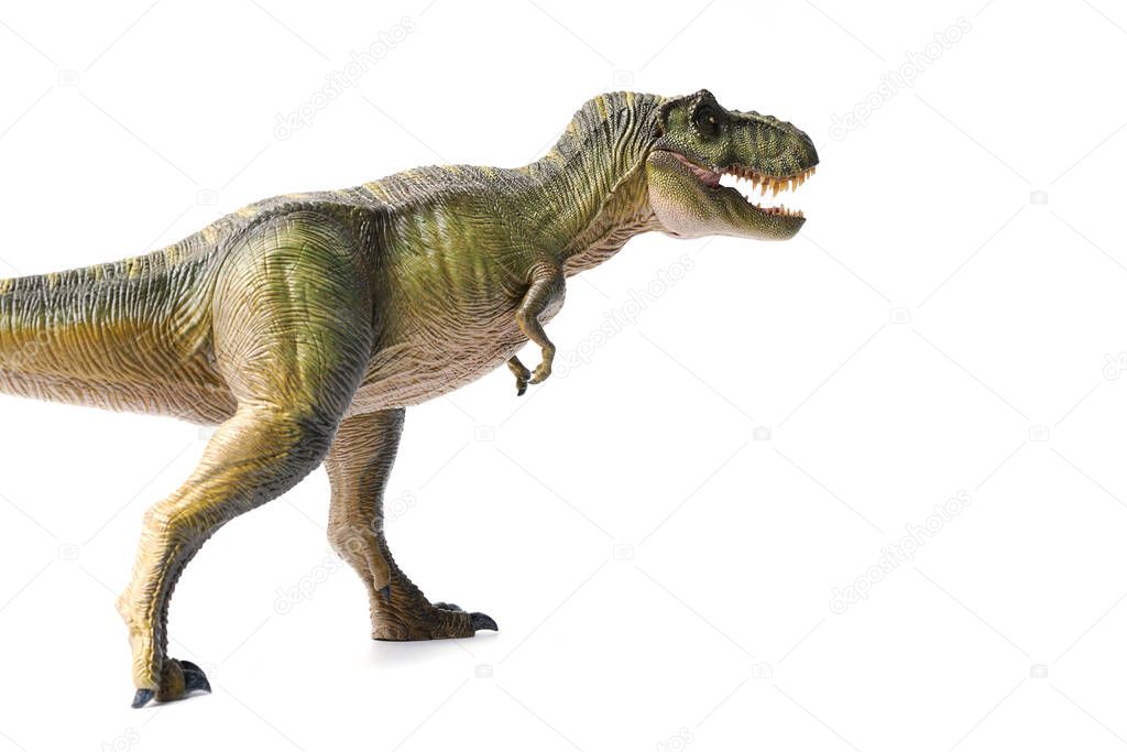 Tyrannosaurus rex dinosaurs toy green isolated on white background. closeup dinosaur and monster model .