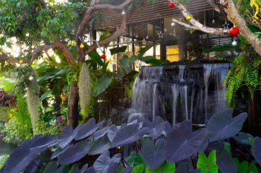 Bahçedeki yeşil ağaç, çiçek, şelale