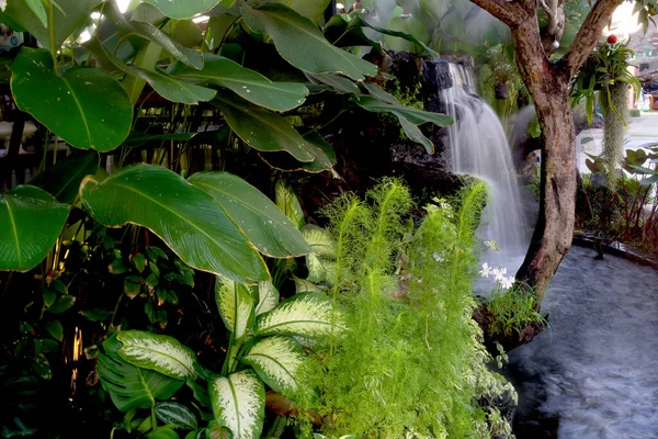 Green Tree Flower Waterfall Garden — Stock Photo, Image