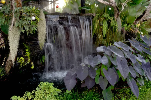 Grüner Baum Blume Wasserfall Garten — Stockfoto