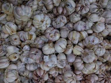 Üst kattan bir demet taze sarımsak. Purwakarta, Endonezya 'daki market vitrininde beyaz sarımsağı kapat. 