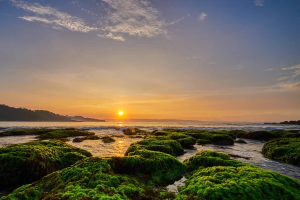 Sawarna Sahili, Banten, Endonezya 'da yeşil yosunlarla kaplı kayalık bir plajda güneşli bir gün doğumu manzarası