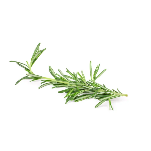 Beyaz arka planda yeşil taze biberiye filizleri