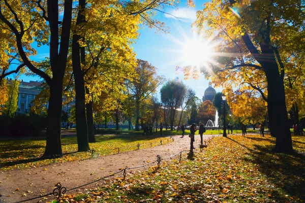 stock image Golden autumn in the Alexander garden in St. Petersburg .