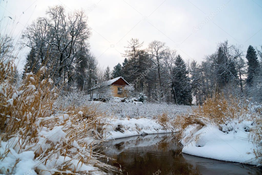 The first snow on the Bank of the Lubya river .Winter landscape. Russia, Leningrad region. Priyutino.