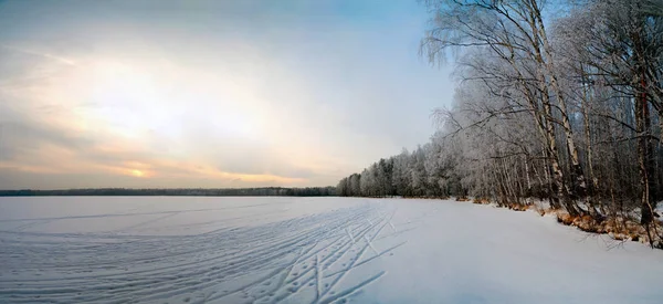 Paisagem Inverno Árvores Floresta Cobertas Geada Rússia Região Leningrado — Fotografia de Stock