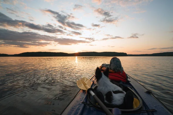 The hostess and the dog are sailing on the lake in a kayak boat at sunset . — Stock Photo, Image