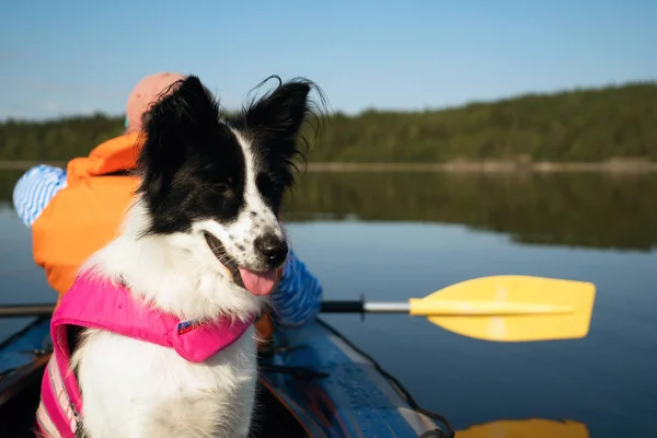 Dog in a life jacket floating on the lake in a kayak . — Stock Photo, Image