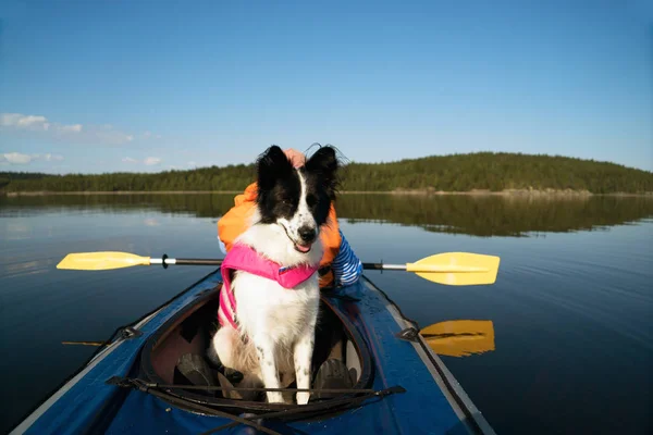 Dog in a life jacket floating on the lake in a kayak . — Stock Photo, Image