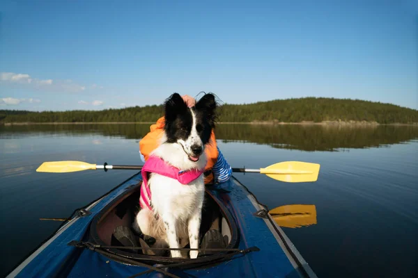 Bir kayık gölüzerinde yüzen bir can yeleği köpek .
