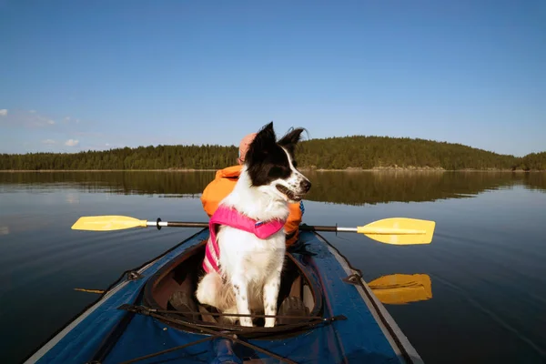 Dog in a life jacket floating on the lake in a kayak . — Stock Photo, Image
