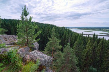 Orman ve Hellenici nehri üzerinde taş uçurum , Karelia.
