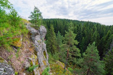 Çam ve köknar ile taş tepe ve orman , Karelia.
