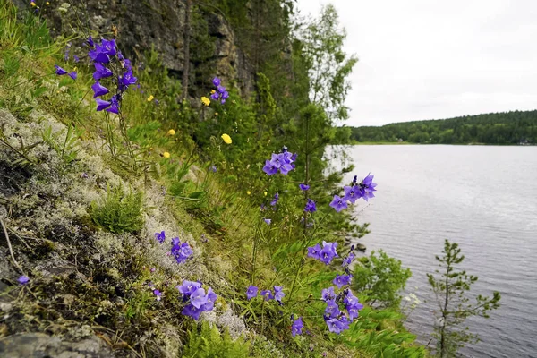 Campane sul fianco della montagna in Ladoga skerries  . — Foto Stock