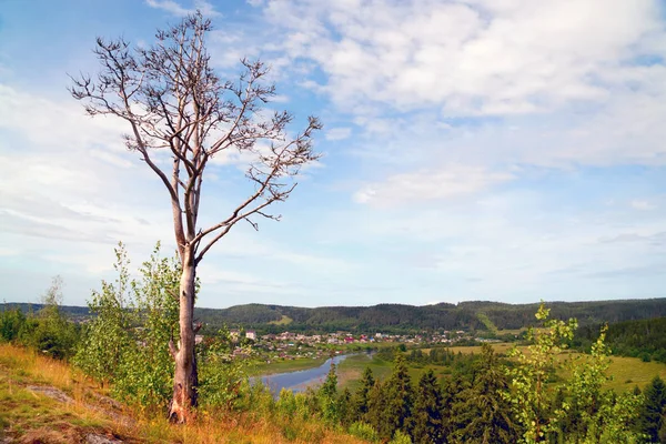 Albero morto ai margini del villaggio di montagna helyulya. Fiume Hellenici, Carelia . — Foto Stock