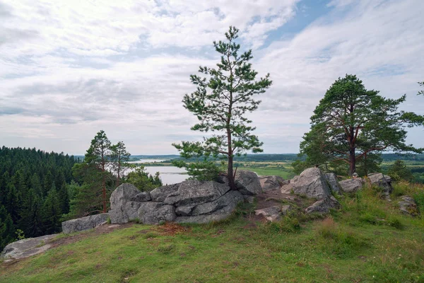 Pinos entre las piedras de un acantilado rocoso. Río Hellenici, Karelia . — Foto de Stock