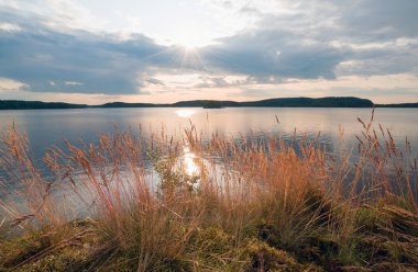 Ladoga Gölü'nde adanın kıyısında gün batımı .