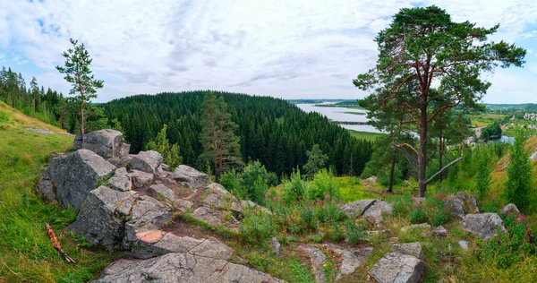 Tallar bland stenarna på en klippig klippa. Floden Hellenici, Karelia — Stockfoto