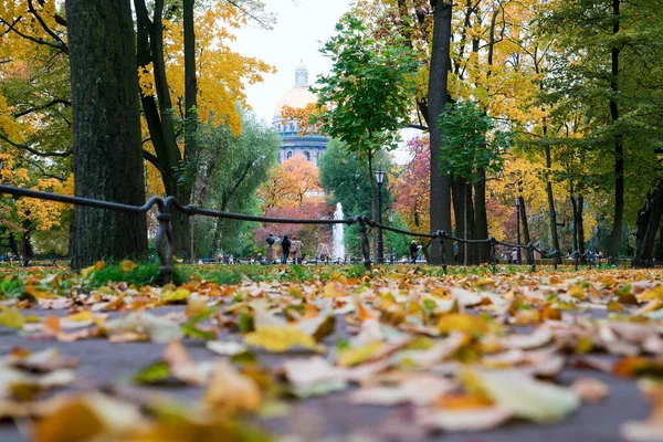 Осінній пейзаж, паркові доріжки вкриті опалим листям . — стокове фото