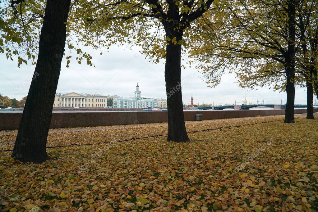 Admiralty embankment , the Palace bridge .Autumn landscape, St. Petersburg .