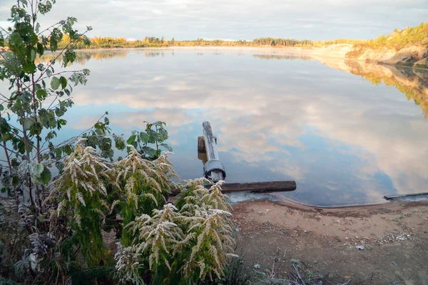 Los arbustos están cubiertos de heladas en la orilla del lago temprano en la mañana . — Foto de Stock
