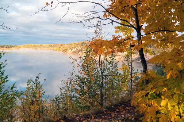 En la orilla de un lago brumoso por la mañana temprano. Paisaje otoñal . — Foto de Stock