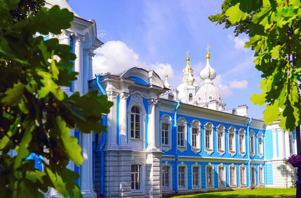 Domes of the Smolny Cathedral among the foliage of trees. Saint-Petersburg. Russia — Stock Photo, Image